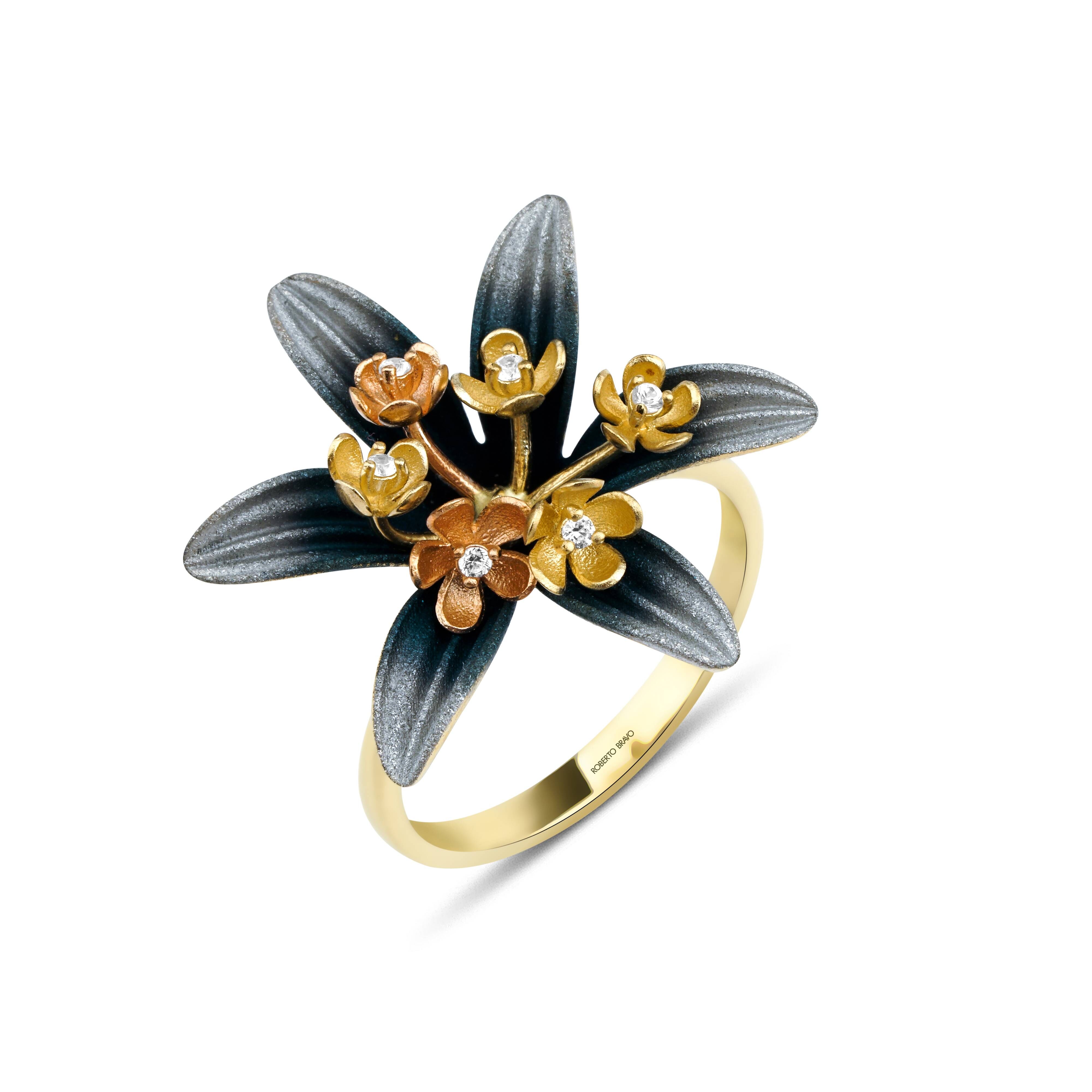 roberto-GWHR000024-00-